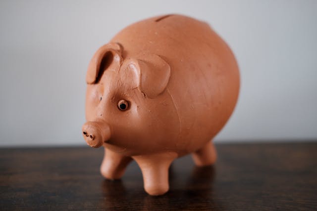 Vermogensbeheer met aandacht voor spreiding (fondsen, aandelen, obligaties, edelmetalen) en risicobeheer